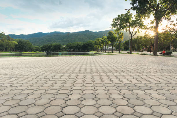 Best Local Driveway Pavers  in Isanti, MN